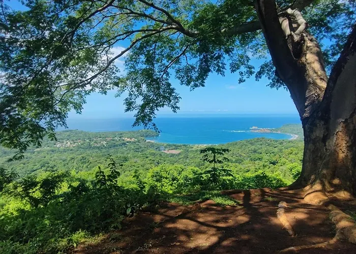 Ocean Jungle View Infinity Pool Near Samara