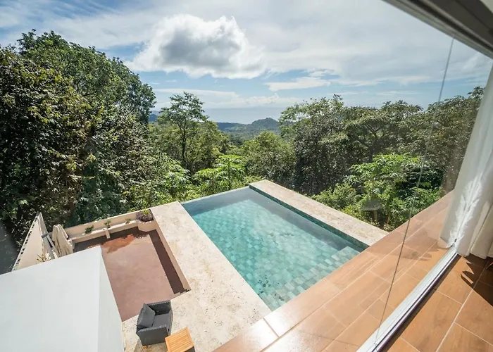 Ocean Jungle View Infinity Pool Near Samara * Puerto Carrillo